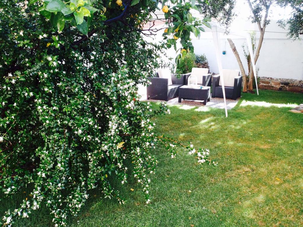 Il Vecchio Ginepro Bed & Breakfast Капотера Екстериор снимка
